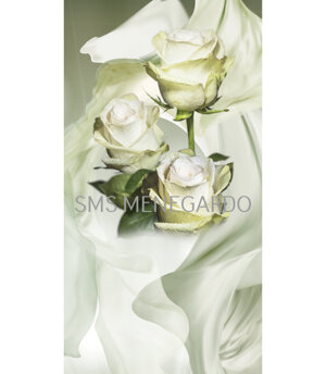 SERIE FIORI 2
