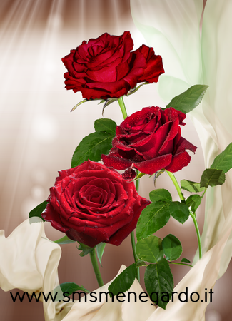 a51f6019-26e2-428b-a4ce-520e8cc79e43