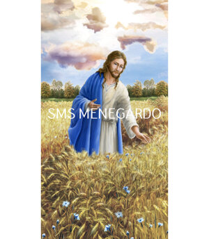 CAMPO DI GRANO 3
