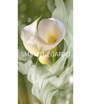 SERIE FIORI 6