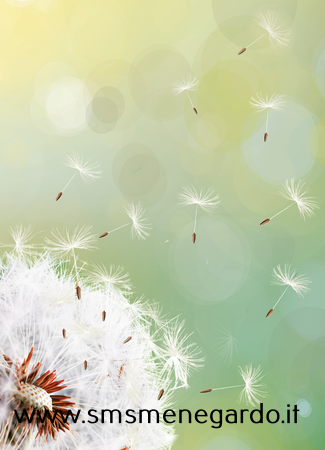 1ce21642-c184-4f3f-95c4-dbfcf9ac23b7