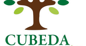 logo-rosaria-2012-nuovo_ok.jpeg logo-rosaria-2012-nuovo_ok.jpeg