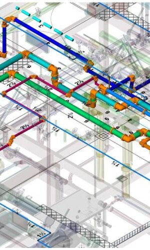 vettoriale senza sfondo _bianco.svg
