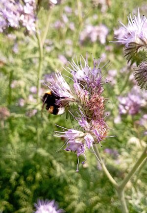 img_4489.jpeg
