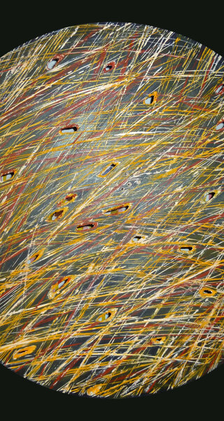 fernando%20montÃ %20%20e-v%207%20-%202004%2080x80%20olio%20su%20tela.jpeg