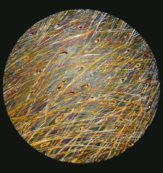 fernando montà - essenza-luna - 2012 - cm 51x47 - acrilico su tavola.jpeg