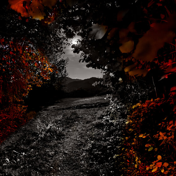 2025-©avico.jpeg 2025-©avico.jpeg