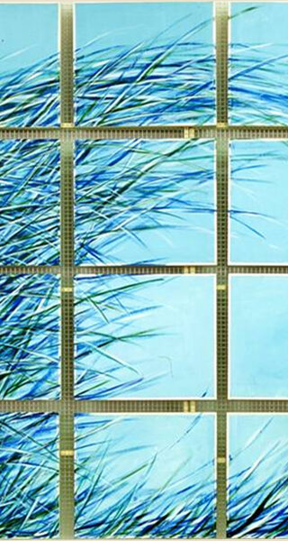 fernando%20montÃ %20-%20ev%20br%202004%20-%20olio%20su%20tela%20-%20cm%2080x80.jpeg