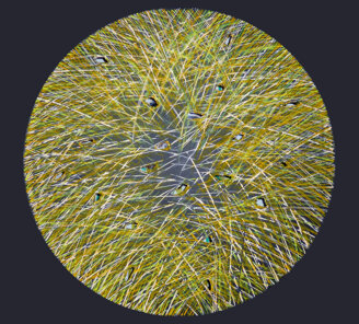 fernando monta' luna 2010 acrilico su tavola - cm 53x47.jpeg