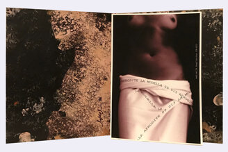 mariella bogliacino - afrodite - non avrai altra dea all'infuori di me - libro d'artista - tecniche miste su tavola e carta - 1996-2013 open cm 30x50x1.jpeg