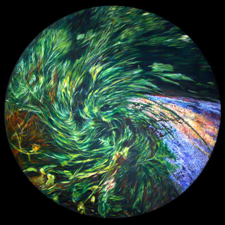 fernando montà - ev br 2004 - olio su tela - cm 80x80.jpeg