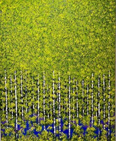 immagine whatsapp 2025-12-01 ore 18.12.25_c5e18a3d.jpeg