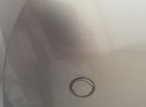img_8984.jpeg img_8984.jpeg