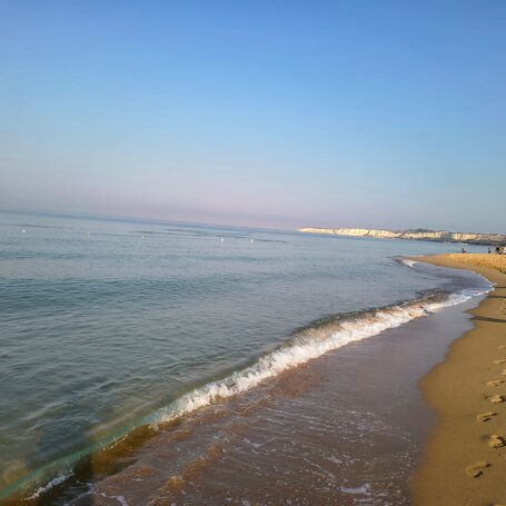 ilgiglio_bovomarina_1.jpeg