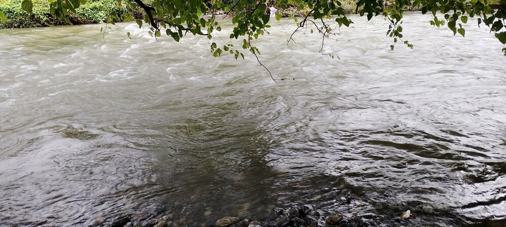 img_20250913_080542.jpeg