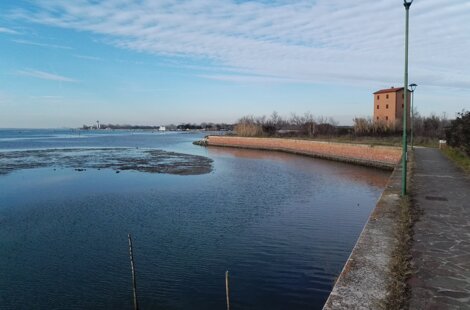 img_20190214_155924.jpeg