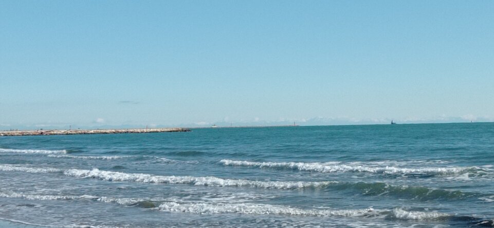 img_20241006_100857.jpeg