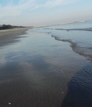 img-20190224-wa0001.jpeg