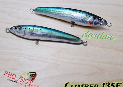 Climber 135F sardine