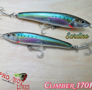 Climber 170F Sardine
