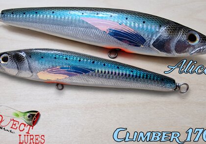 Climber 170F Alice's