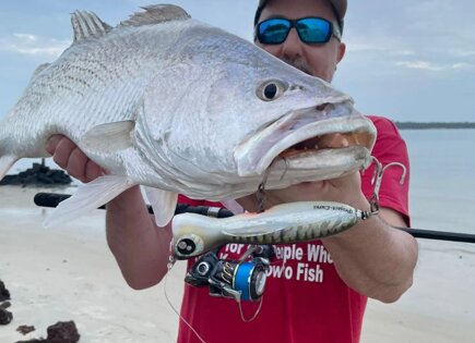 Ombrina oceanica Power Tuna Pop 150