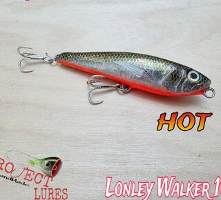 Lonley Walker100 Hot