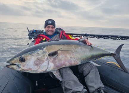 Ushio 180 Adriact sea