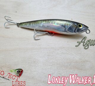 Lonley Walker100 Agu