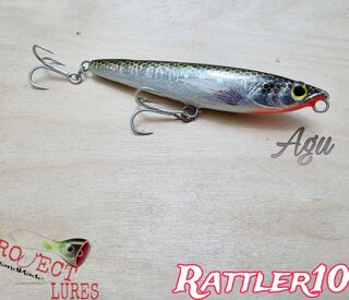 Rattler100 Agu