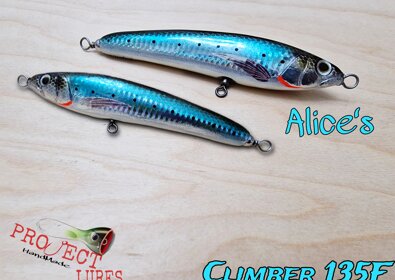 Climber 135F alice's