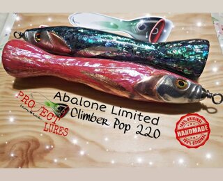 Climber Pop 200 ABALONE LIMITED 