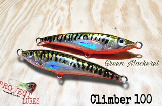 Climber100s Green mackerel