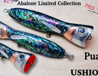 Ushio 180 ABALONE LIMITED PUA