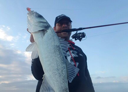 Rattler 70 Yuki spigola 