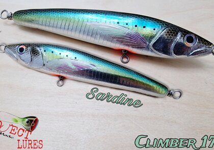 Climber 170F Sardine