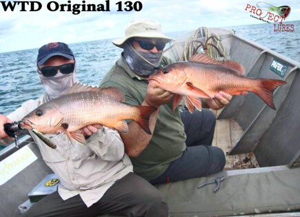 Original 130 cuda cubere