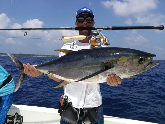 Tropical-Pop 180 Yellowfin tuna 