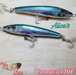 Climber 170F Alice's