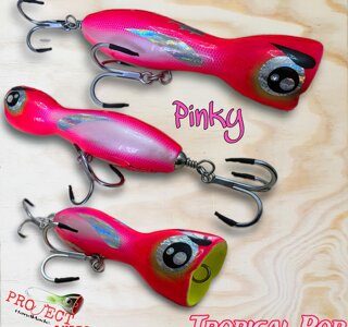 eyJpdCI6IlRyb3BpY2FsIFBvcCAxODAgUGlua3kifQ==