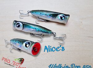 Walk-In-Pop 85c Alice's