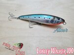 lonley-walker-100