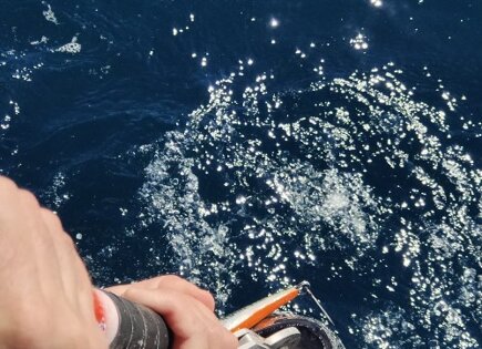 SH-135s Green Mackerel Bluefin tuna