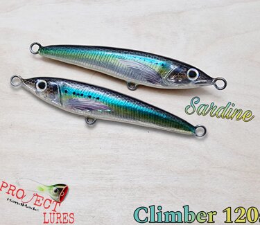 Climber 120s sardine