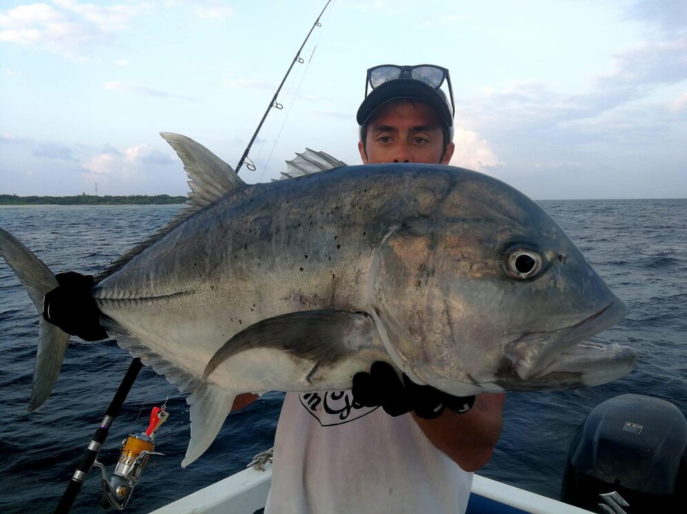 Giant Trewally su Tropical Pop 180