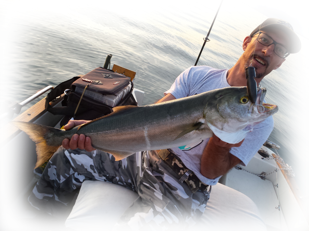 Walk-In-Pop 120c Bluefish