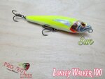 lonley-walker-100