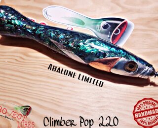 Climber Pop 200 ABALONE LIMITED PUA
