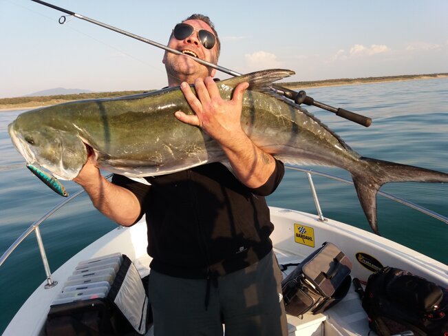 Leccia amia e original 130