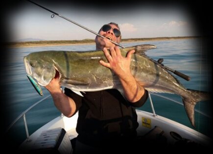 Leccia Original 130 Tiger